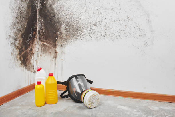 Best Mold Cleaning Services  in Whitewater, KS