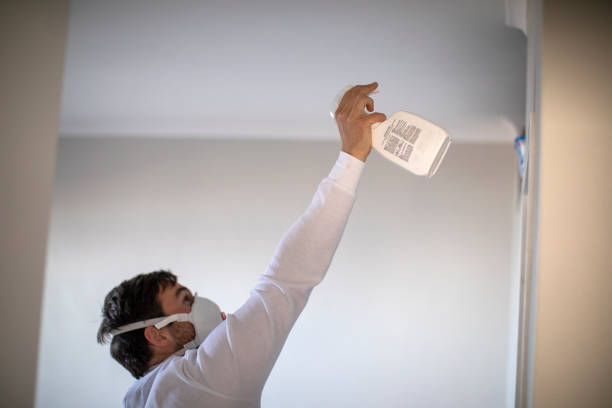 Best Commercial Mold Removal  in Whitewater, KS