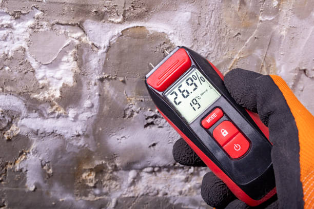 Best Emergency Mold Removal  in Whitewater, KS