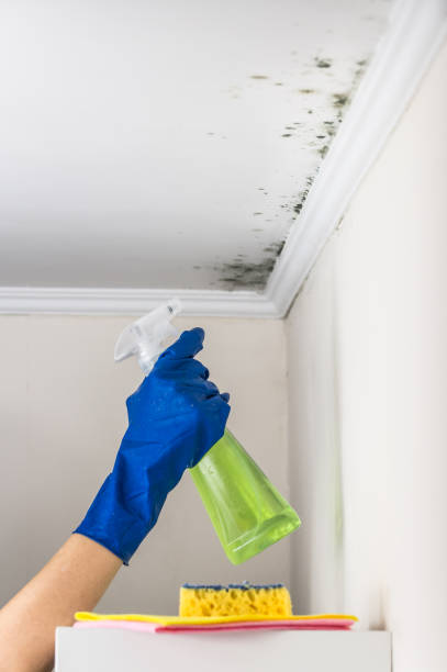 Crawl Space Mold Removal in Whitewater, KS
